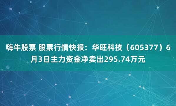 嗨牛股票 股票行情快报：华旺科技（605377）6月3日主力资金净卖出295.74万元