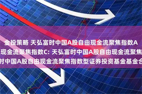 金投策略 天弘富时中国A股自由现金流聚焦指数A,天弘富时中国A股自由现金流聚焦指数C: 天弘富时中国A股自由现金流聚焦指数型证券投资基金基金合同