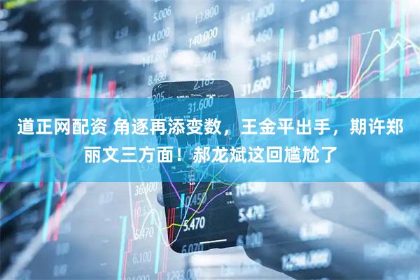 道正网配资 角逐再添变数，王金平出手，期许郑丽文三方面！郝龙斌这回尴尬了