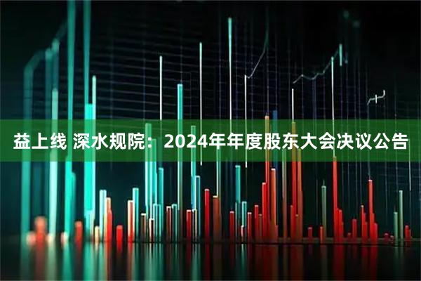 益上线 深水规院：2024年年度股东大会决议公告