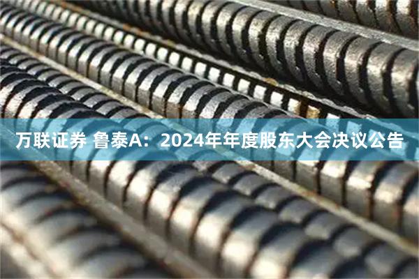 万联证券 鲁泰A：2024年年度股东大会决议公告
