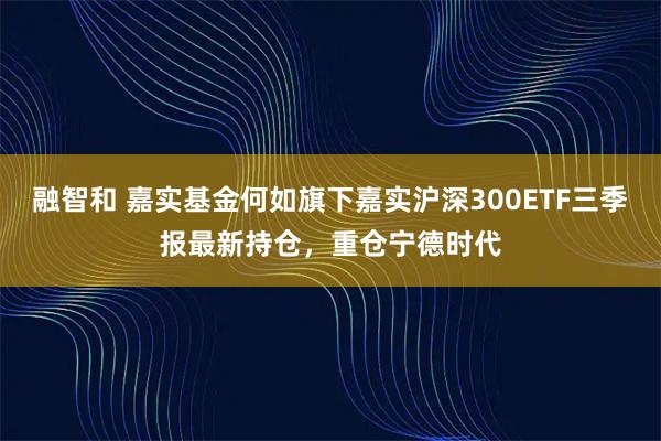 融智和 嘉实基金何如旗下嘉实沪深300ETF三季报最新持仓，重仓宁德时代