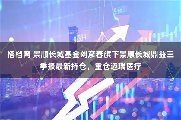 搭档网 景顺长城基金刘彦春旗下景顺长城鼎益三季报最新持仓，重仓迈瑞医疗